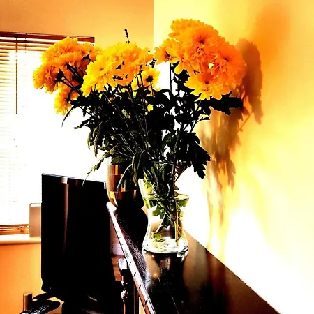 Tatil Evi In 12 With Secure Parking